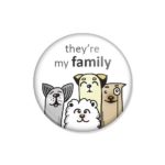 crachá ou íman "they're my family"