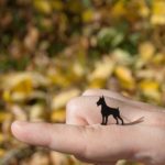 brincos dobermann preto
